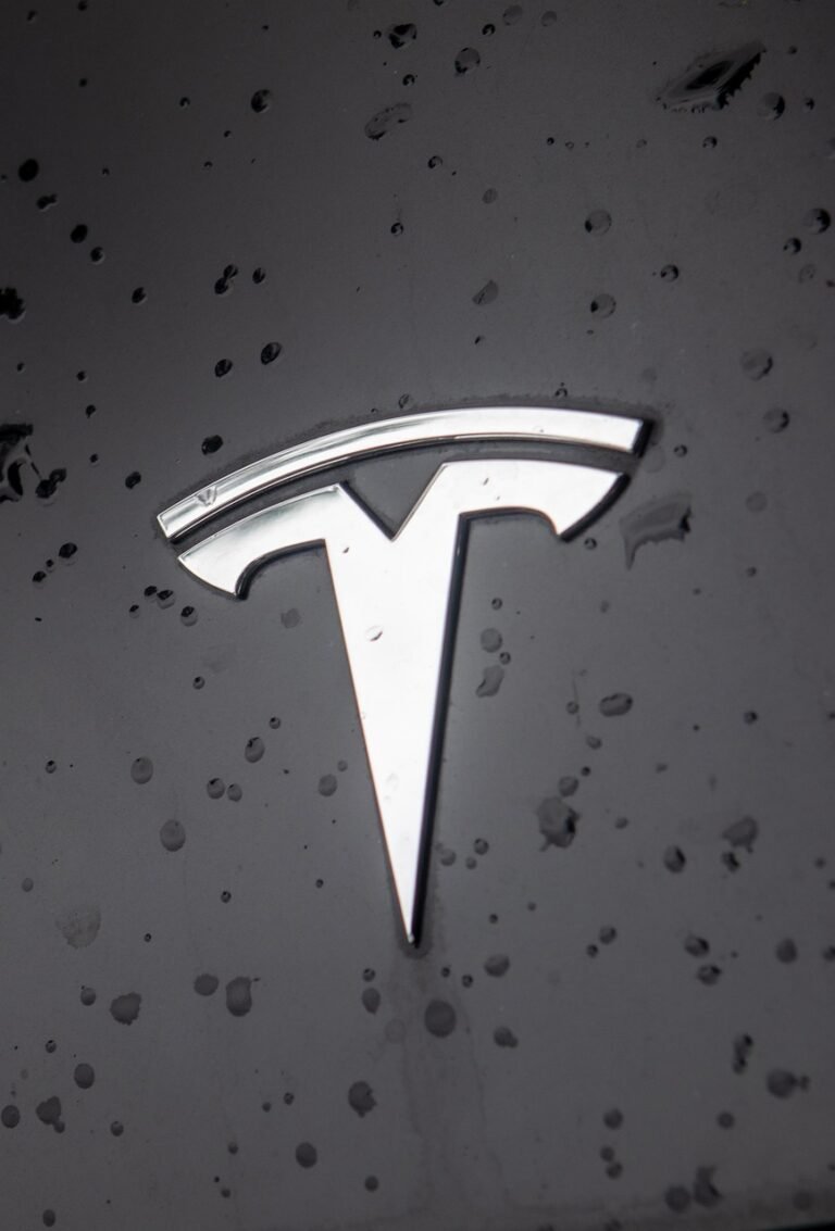 tesla, car, nature, logo, water, drops, car wallpapers, silver, hood, design